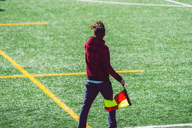 了有力的支 了有力的支