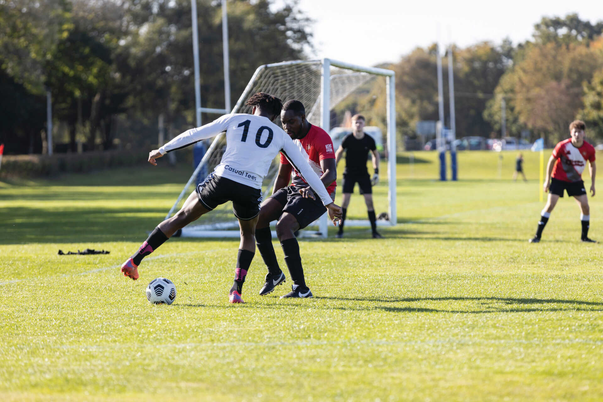 马丁和达里 马丁和达里