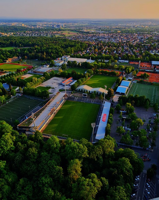 阿莫林的執 阿莫林的執